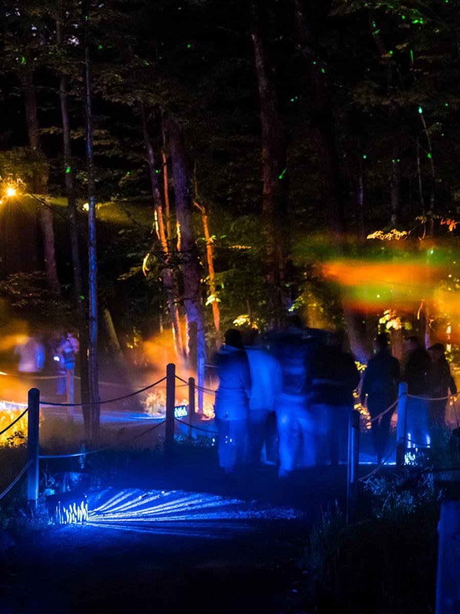 Tonga Lumina Immersive Event - Main Image