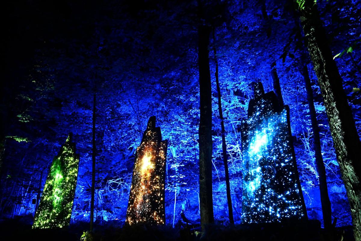 Tonga Lumina Immersive Event - Image 2