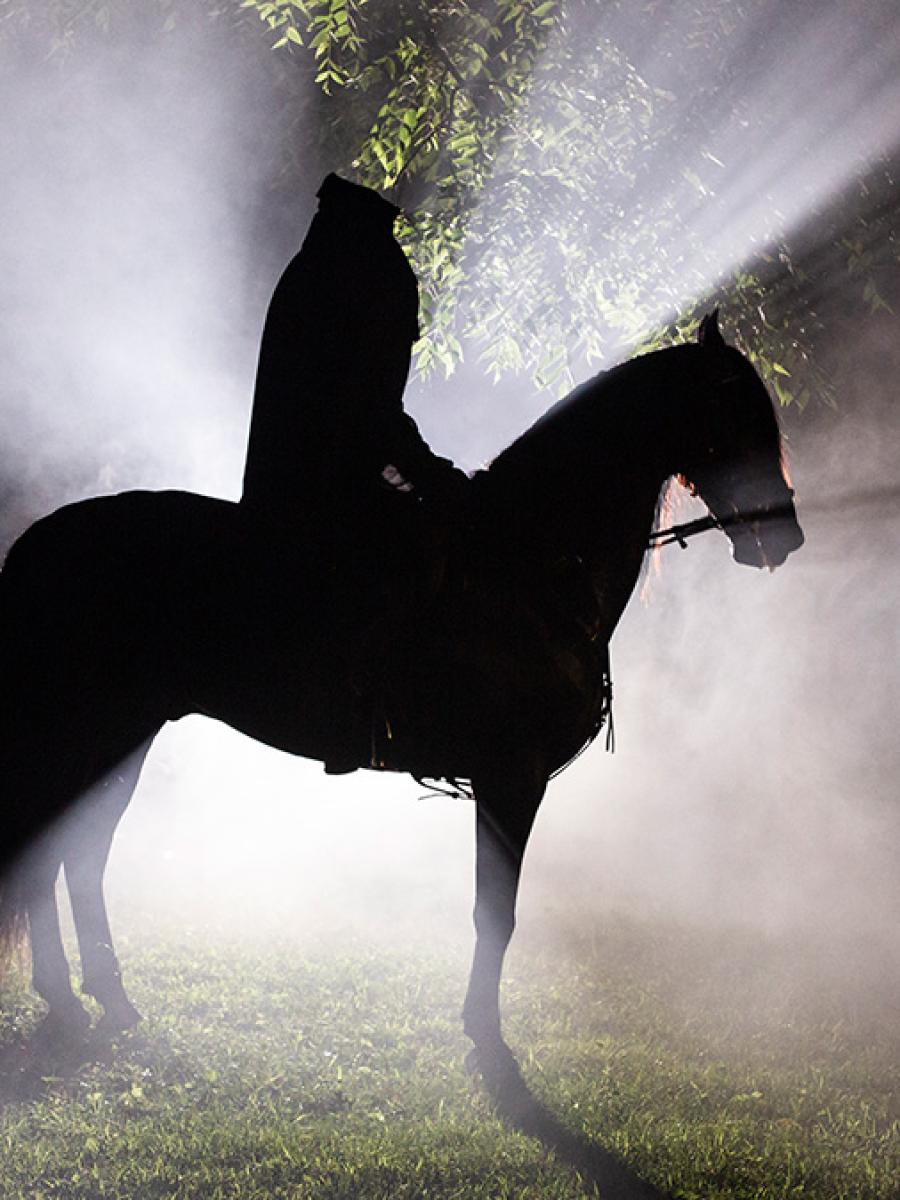 Twilight Village at Sleepy Hollow Immersive Event - Main Image