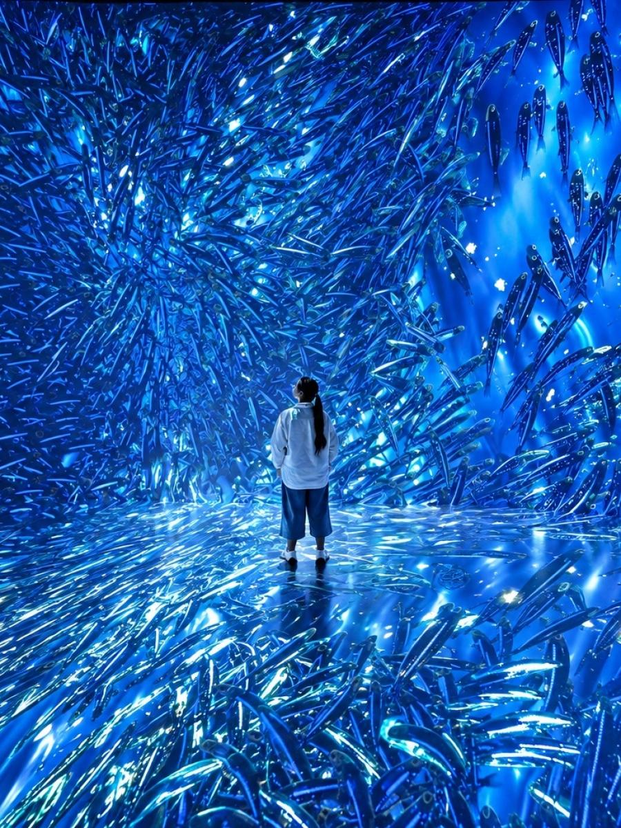 Twilight Zone: Hidden Wonders of the Ocean (Houston) Immersive Event - Main Image