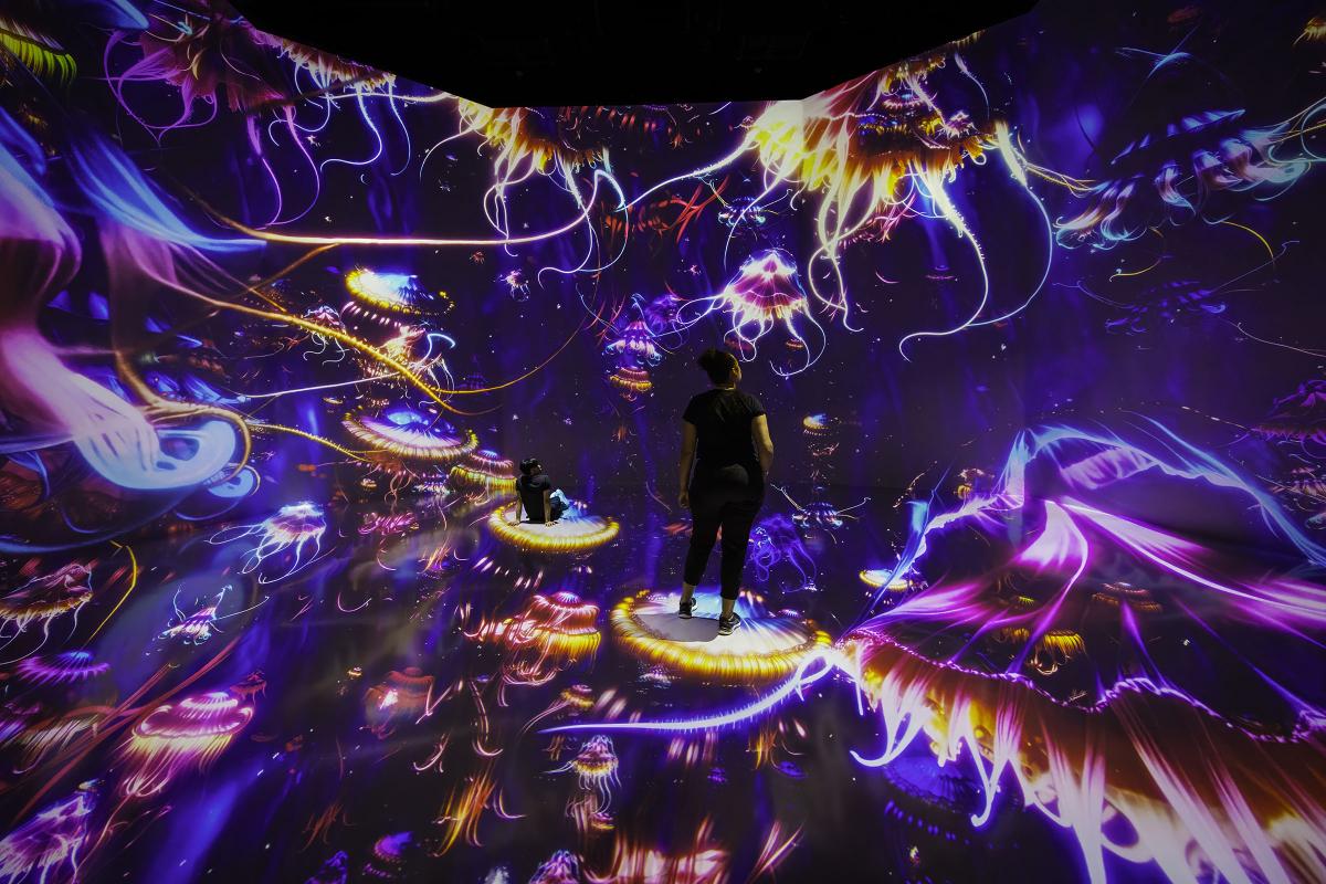 Twilight Zone: Hidden Wonders of the Ocean (Houston) Immersive Event - Image 2