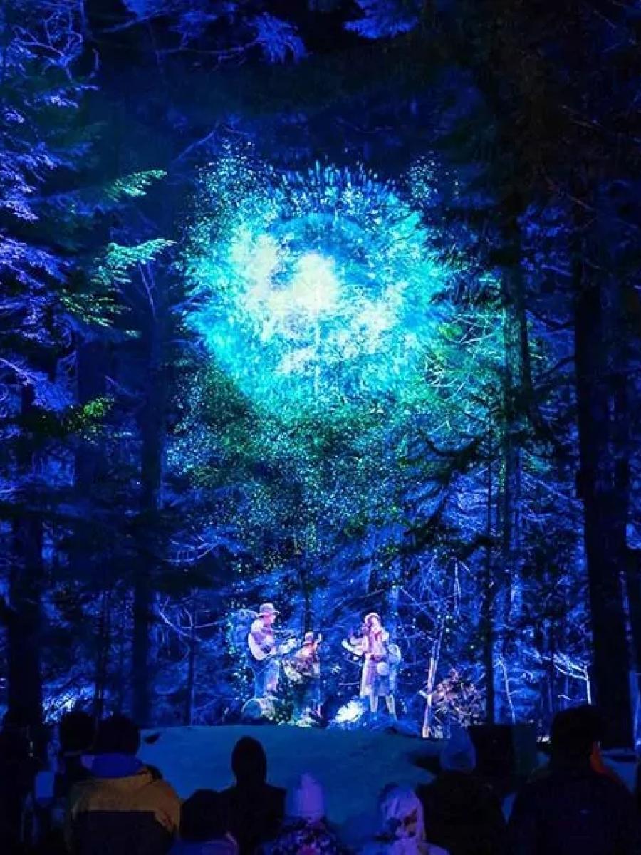Vallea Lumina Immersive Event - Main Image