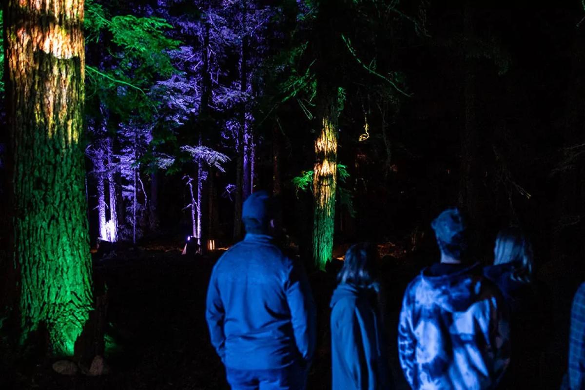 Vallea Lumina Immersive Event - Image 2