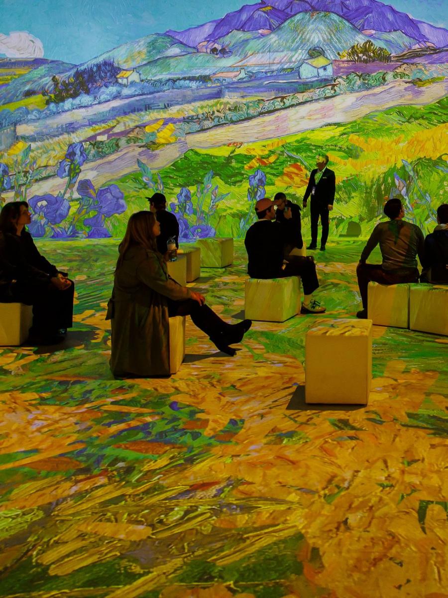 VINCENT – Between Madness and Wonder. Van Gogh Immersive Immersive Event - Main Image