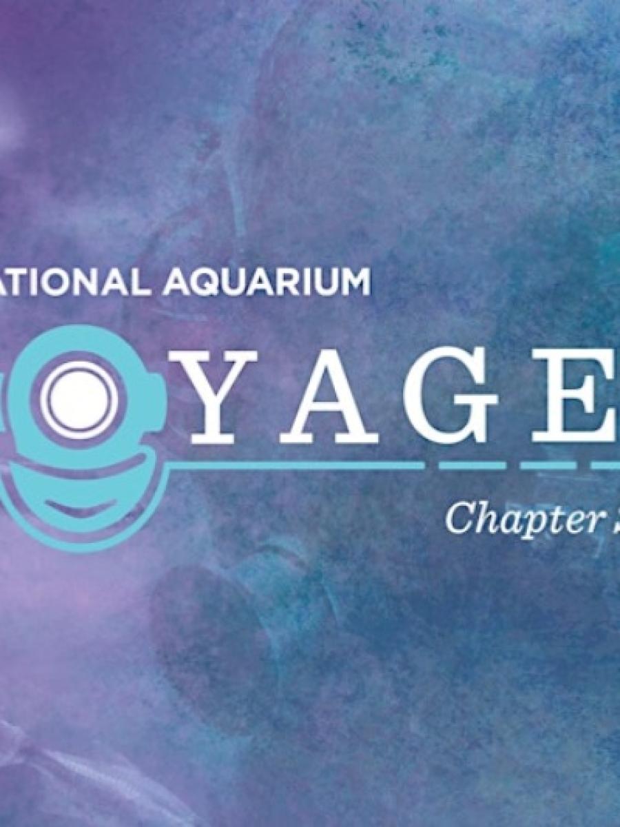 Voyages: Chapter 7 Immersive Event - Main Image