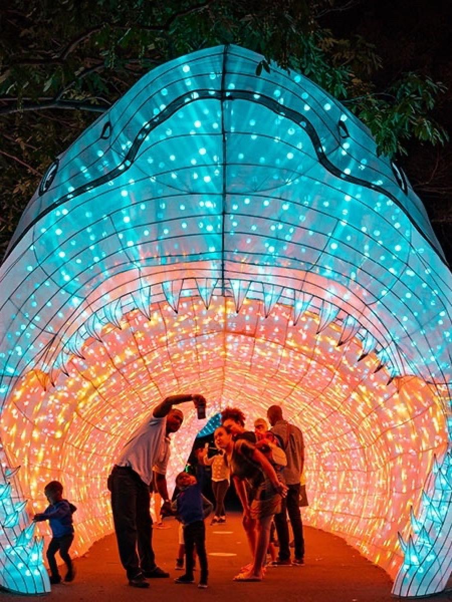 Wanderlight Trail Immersive Event - Main Image