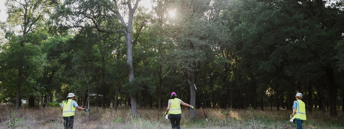Way of Water: Onion Creek Immersive Event - Main Image