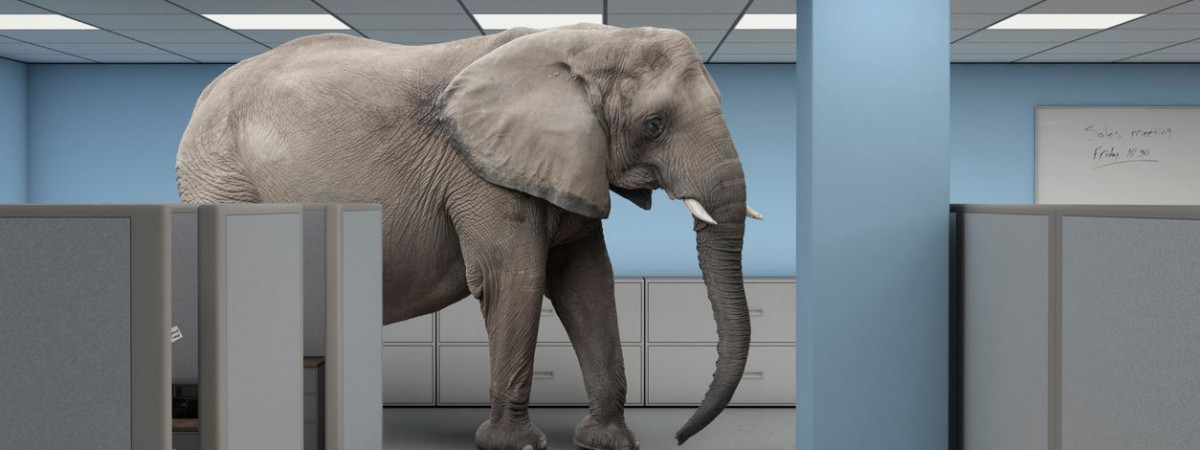 What They Forgot To Tell Us (and other stories) Immersive Event - Main Image