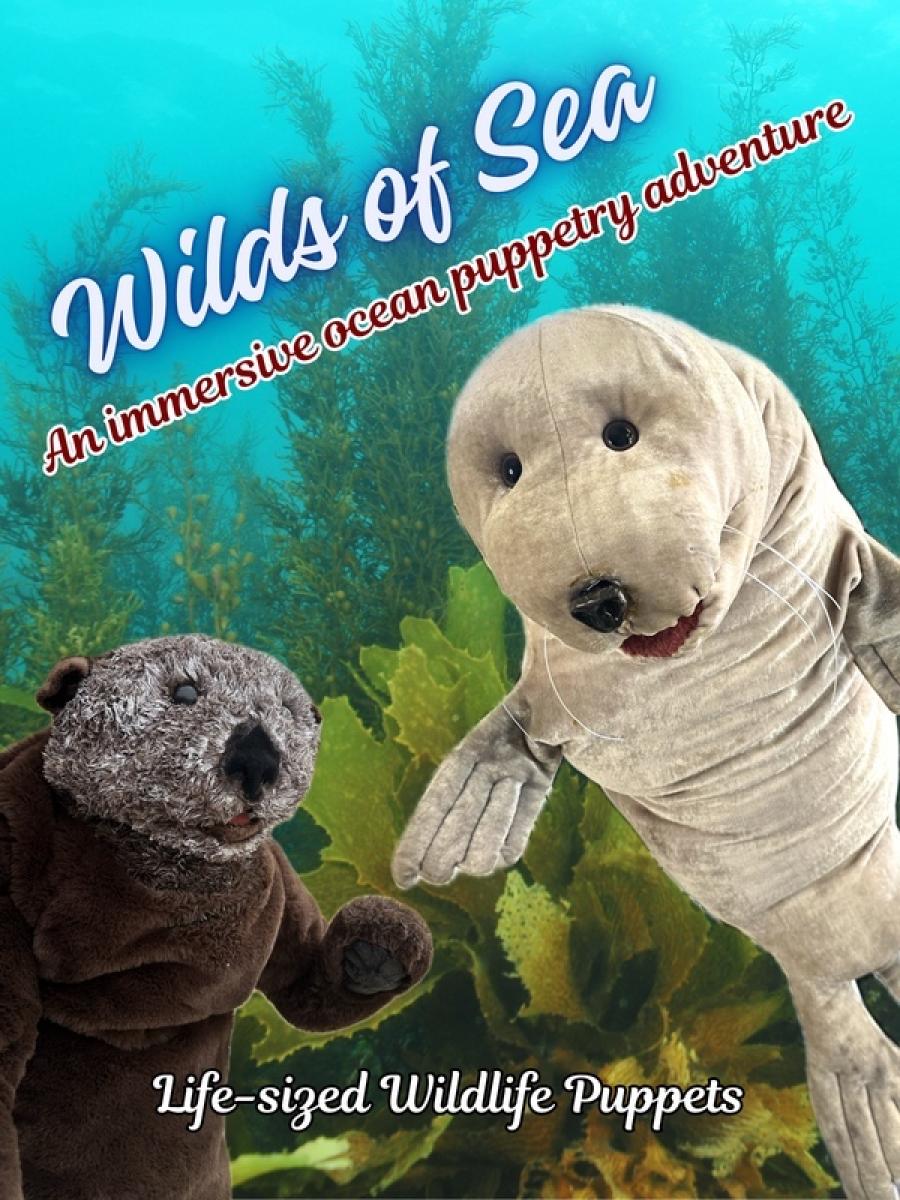 WILDS OF SEA Immersive Event - Main Image