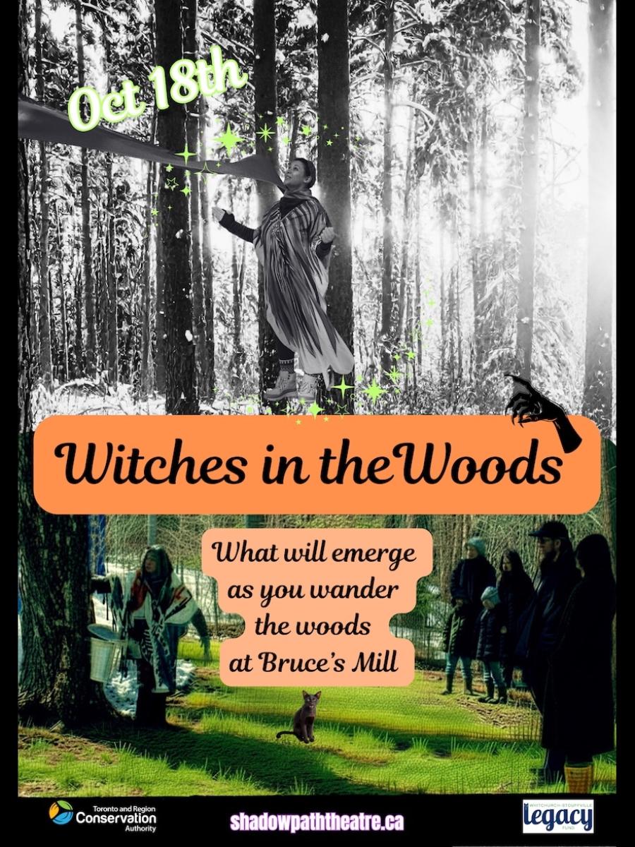Witches in the Woods Immersive Event - Main Image