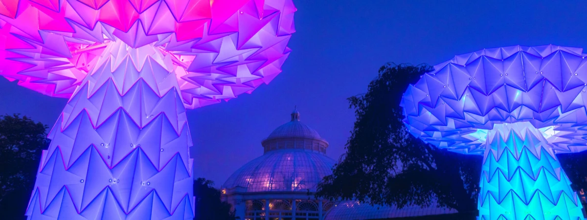 Wonderland Nights Immersive Event - Main Image