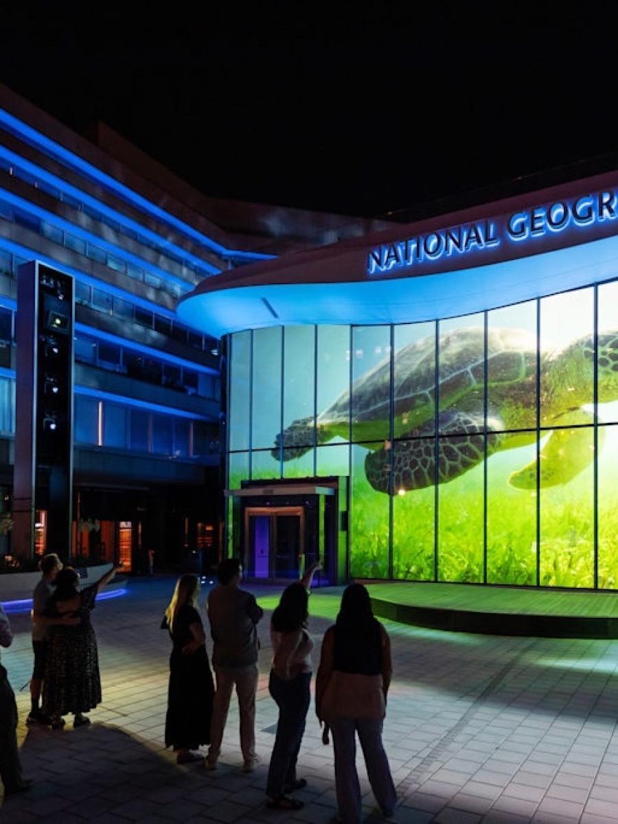 Wonders of Our World: Ocean Immersive Event - Main Image