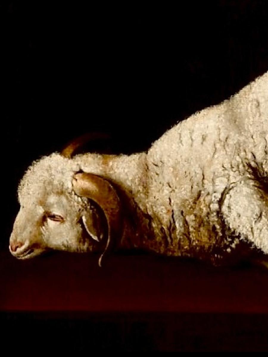 You Are The Sacrifice Immersive Event - Main Image