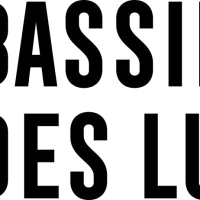 Logo of Bassins des Lumières
