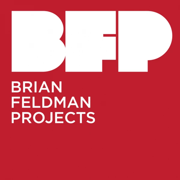 Project Brian Brian Feldman Projects