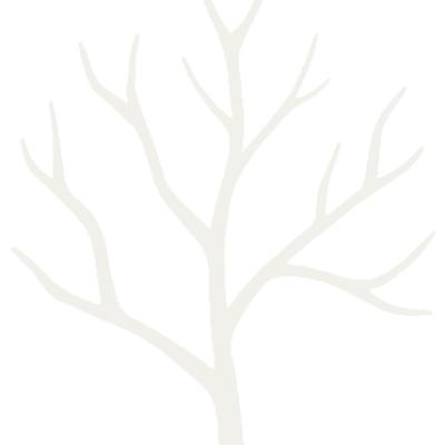 Logo of Five Seasons