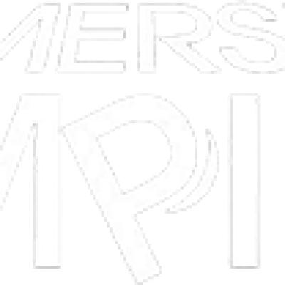 Logo of Immersive Empire