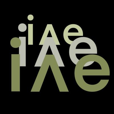 Logo of in-version ensemble