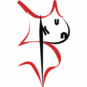 Logo of StoryPunk